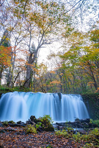 Scenic view of waterfall in forest during autumn