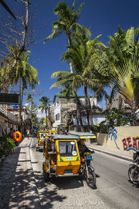 Cars on road by palm trees against sky in city