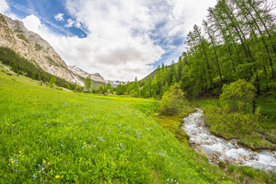 Scenic view of green mountains against sky