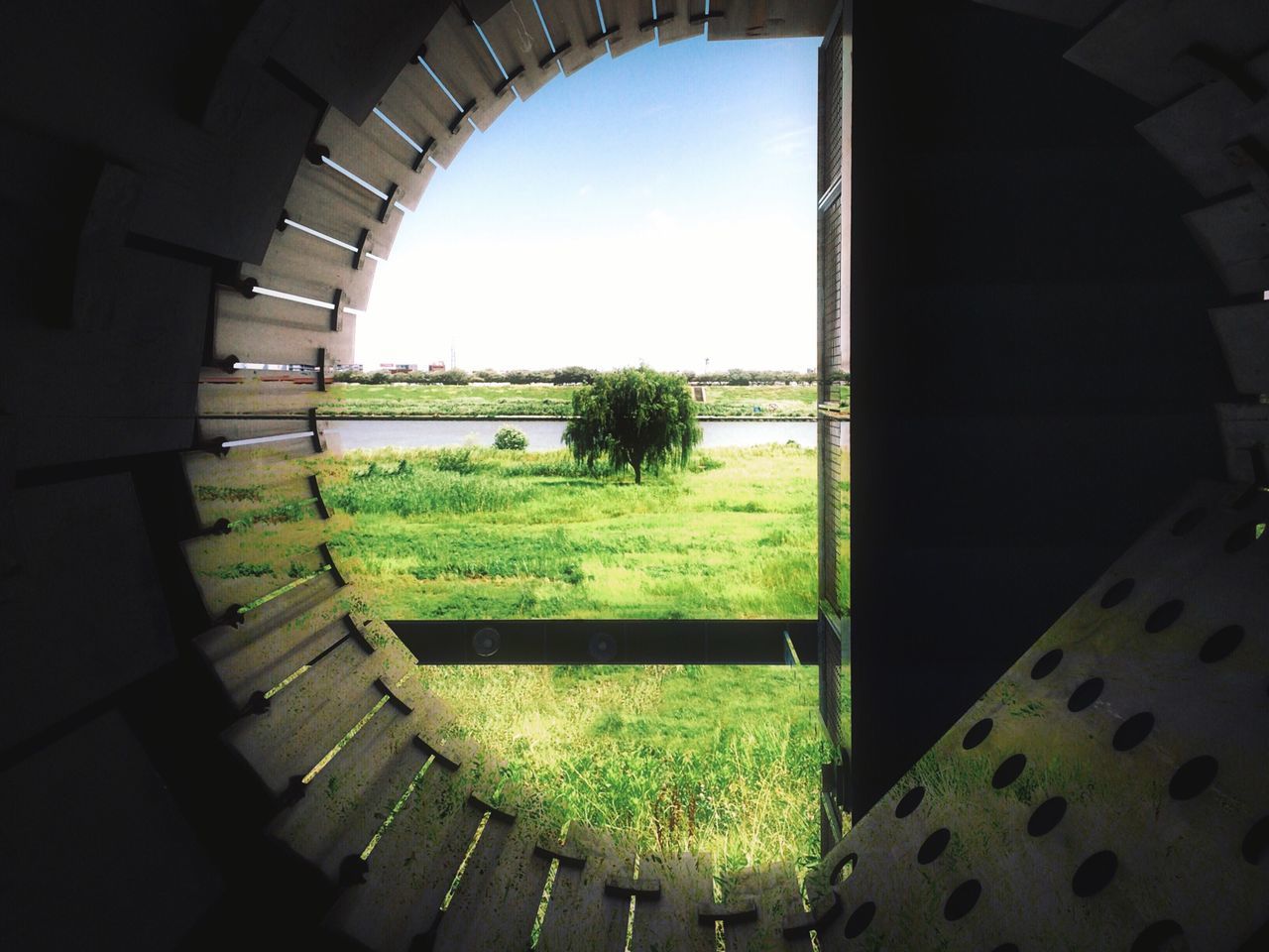 indoors, architecture, built structure, arch, window, tree, day, sky, no people, circle, plant, grass, growth, green color, geometric shape, sunlight, railing, nature, building exterior, clear sky