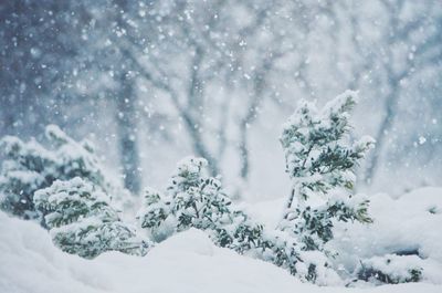 Scenic view of snow covered land