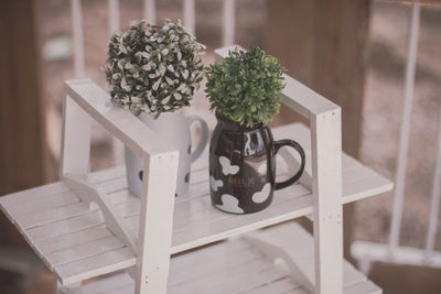 Close-up of potted plants on table