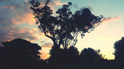 Low angle view of silhouette trees against cloudy sky