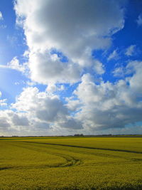 Scenic view of agricultural field against sky