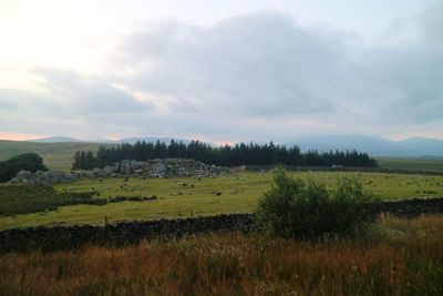 Scenic view of landscape against sky