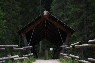 Wooden bridge amidst trees in forest