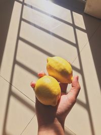 Cropped hand holding lemons against wall