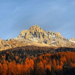 View of trees on mountain against sky