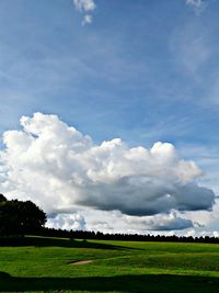 Scenic view of agricultural field against sky