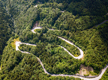 High angle view of road amidst trees