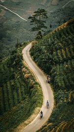 Aerial view of vehicles on road amidst trees