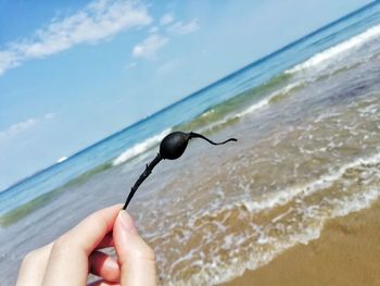 Midsection of person holding stick on beach