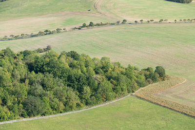 Scenic view of agricultural field