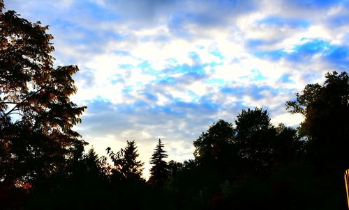 Low angle view of silhouette trees against sky at sunset