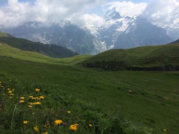 Scenic view of green landscape and mountains