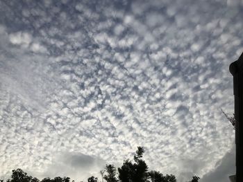 Low angle view of silhouette trees against sky