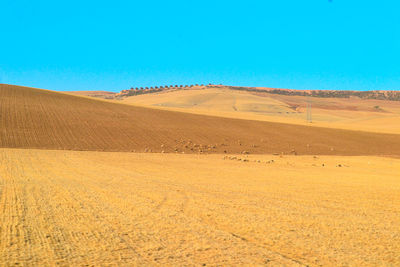 Sand dunes in desert against clear blue sky