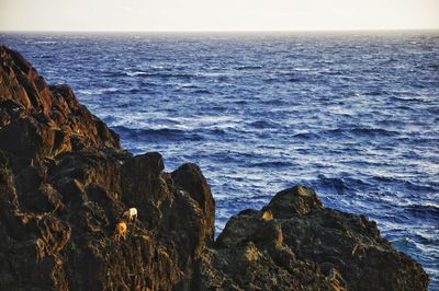 Scenic view of sea against clear sky