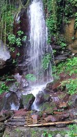 Waterfall in forest