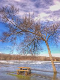 Bare trees by lake against cloudy sky