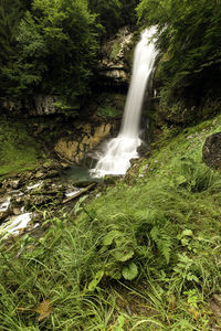 View of waterfall in forest