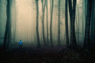 Man in forest