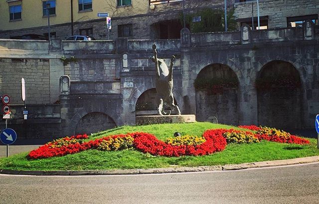 flower, architecture, building exterior, built structure, freshness, city, fragility, plant, arch, multi colored, incidental people, potted plant, day, lawn, outdoors, formal garden, street, blooming, growth, red