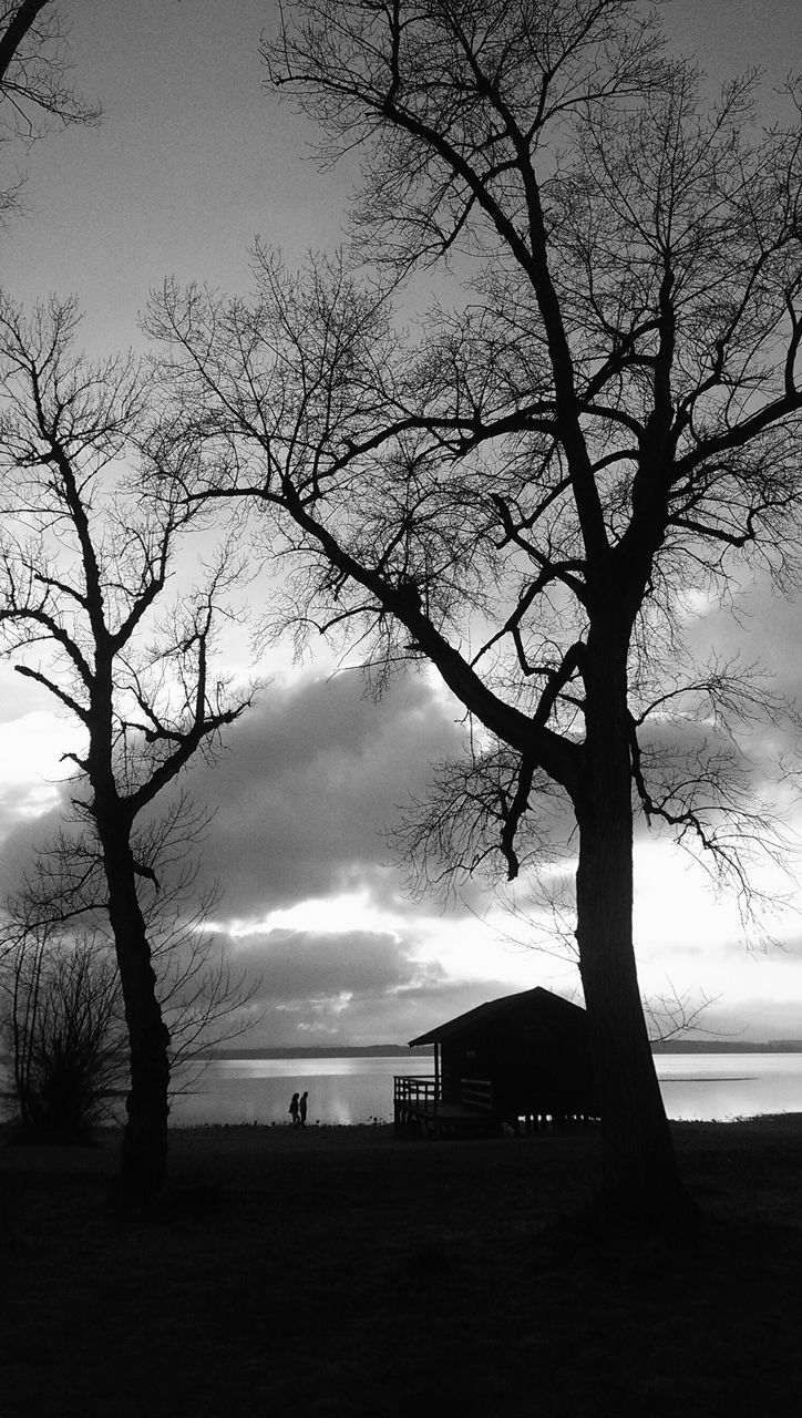 tree, silhouette, bare tree, tranquility, sky, tranquil scene, branch, scenics, beauty in nature, tree trunk, nature, sunset, sea, water, cloud - sky, landscape, horizon over water, dusk, idyllic, outdoors