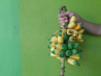 Hand holding fruit against wall