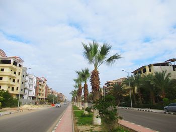 Road amidst trees and city against sky