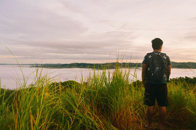 Rear view of man looking at field against sky