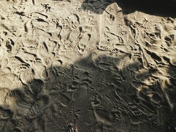 High angle view of footprints on sand at beach