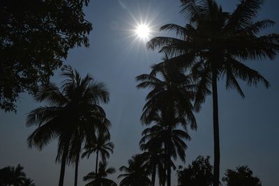 Low angle view of silhouette palm trees against sky