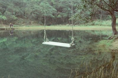 Reflection of trees in water