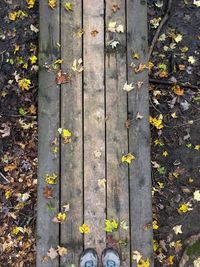 High angle view of leaves on wooden footpath