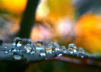 Close-up of raindrops on bubbles