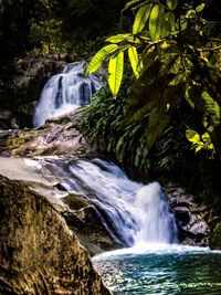 Scenic view of waterfall in forest