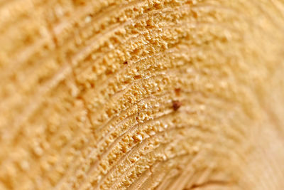 Full frame shot of bread