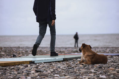 Low section of person with dog standing by sea against sky