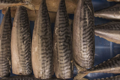 Close-up of fish for sale in market