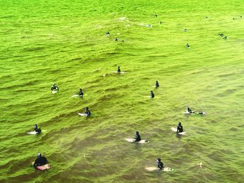 High angle view of people in water