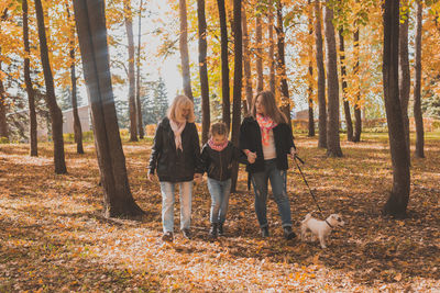 People in forest during autumn