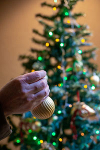 Illuminated christmas tree