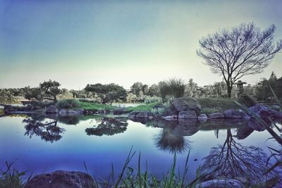 Reflection of trees in calm lake