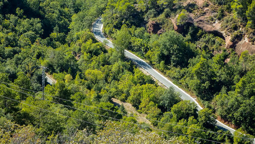High angle view of road amidst trees in forest