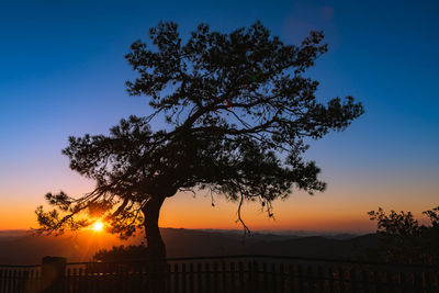 Silhouette tree against sky during sunset