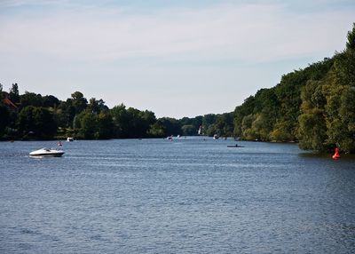 Boats on lake surrounded by trees