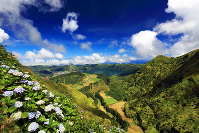 Scenic view of landscape against sky