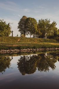 Reflection of trees in lake against sky