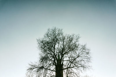 Low angle view of bare tree against clear sky